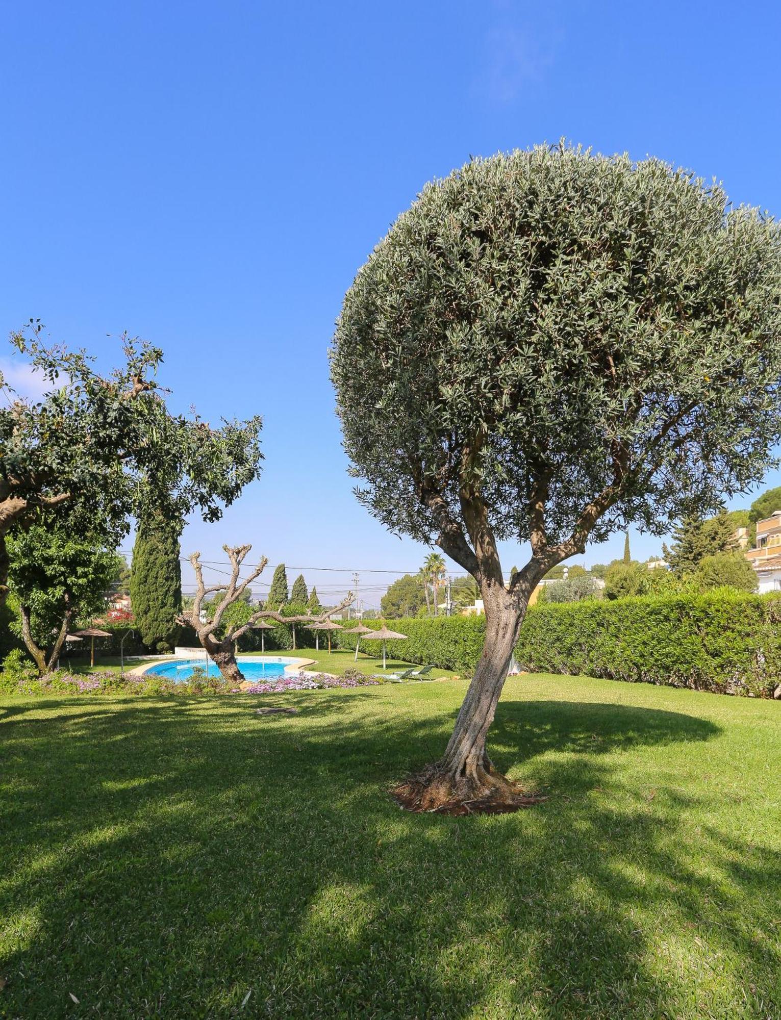 Retiro Sol - Apartamento Montesol B22 Denia Ngoại thất bức ảnh
